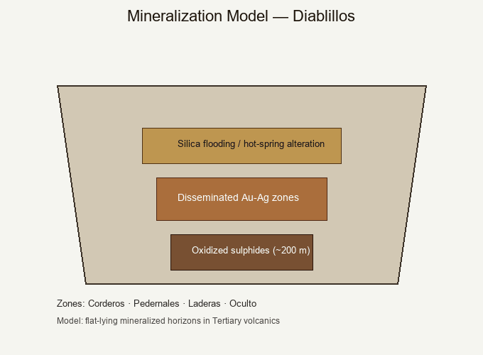 Mineralization model schematic